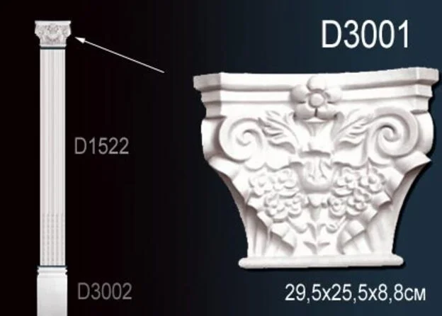 D3001