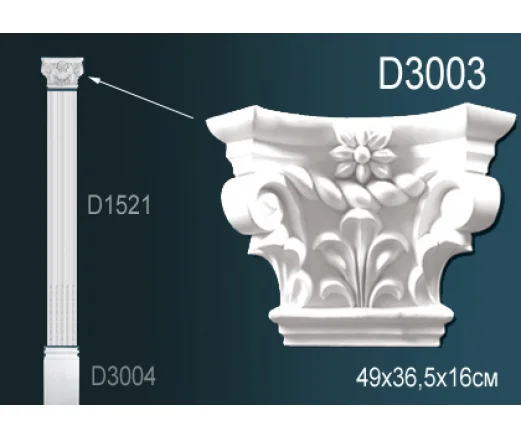 D3003