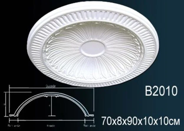 B2010