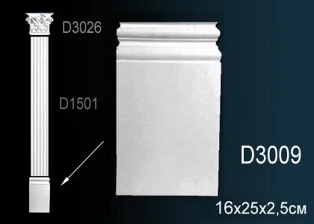 D3009