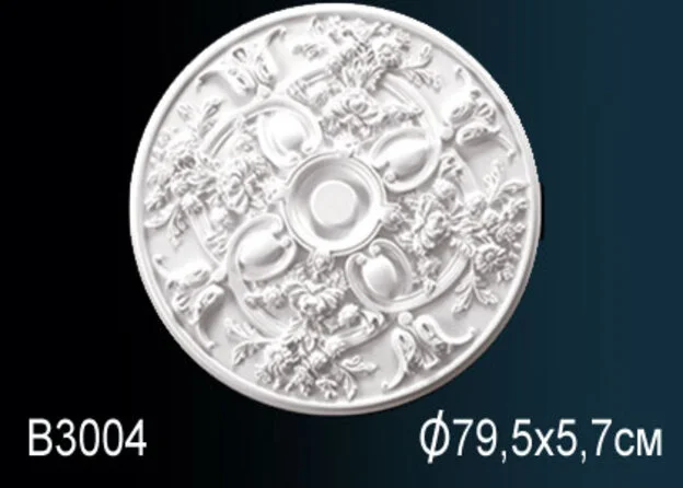 B3004