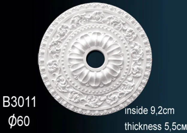 B3011