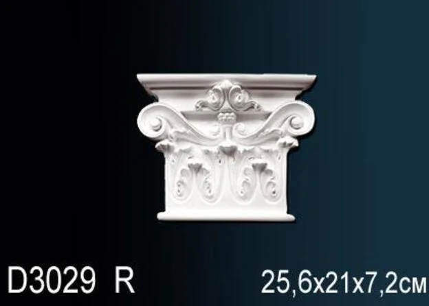 D3029R