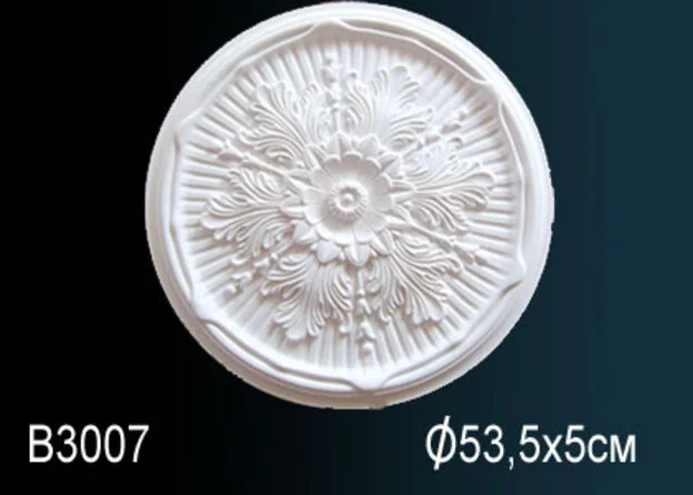 B3007